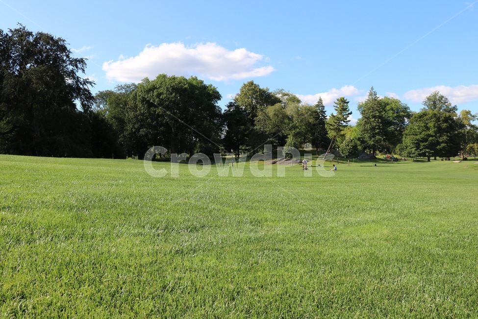 공원,잔디밭,초록,자연,구름,하늘,자연,풍경,nature,landscape,grass,잔디,plant,식물,lawn,park,outdoors,옥외