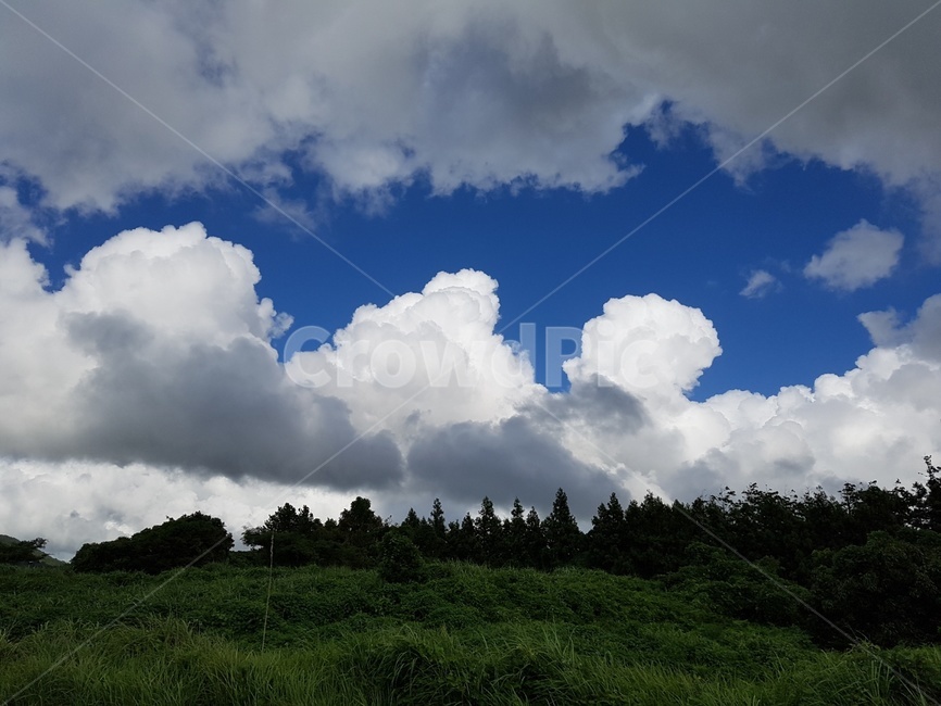 제주,구름,하얀,하늘,파란,자연,풍경,nature,landscape,weather,날씨,outdoors,옥외,cumulus,적운,cloud,sky