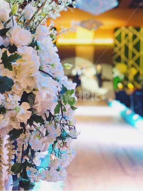 plant,flower,weddinghall,식물,꽃,결혼식장,아름다움,행복
