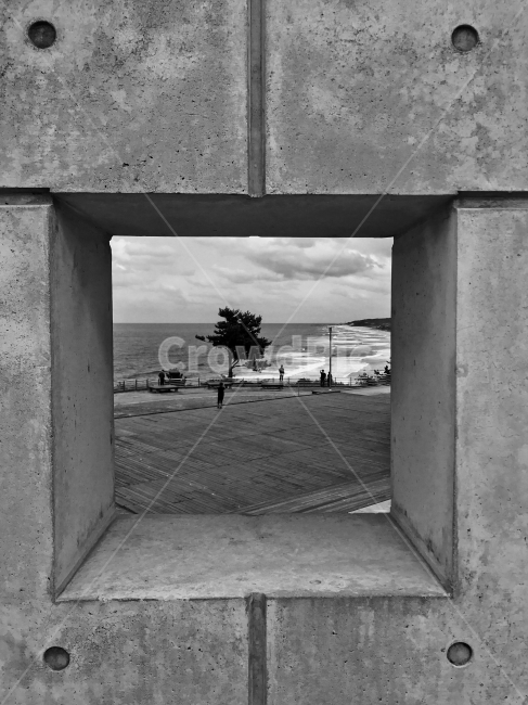 흑백,콘크리트,동해,바다,강원도,나무,파도,흑백,모노톤,monochrome,black and white,건축물,건물외관,exterior,building,structure,architecture,construction