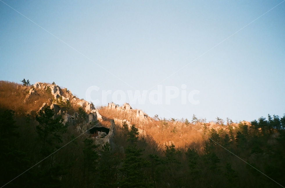 plant,tree,나무,하늘,sky,파랑,산