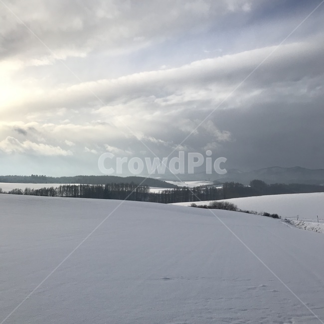 삿포로,후라노,비에이,눈,풍경,겨울,계절,winter,season,자연,풍경,nature,landscape,해외,외국,세계,foreign,oversea,world,세계자연풍경,해외자연풍경,외국자연풍경,world nature landscape,outdoors,옥외