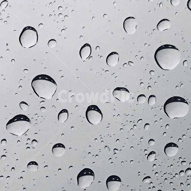 자연,감성,비,물,물방울,비,비오는날,rain,rainy,흑백,모노톤,monochrome,black and white