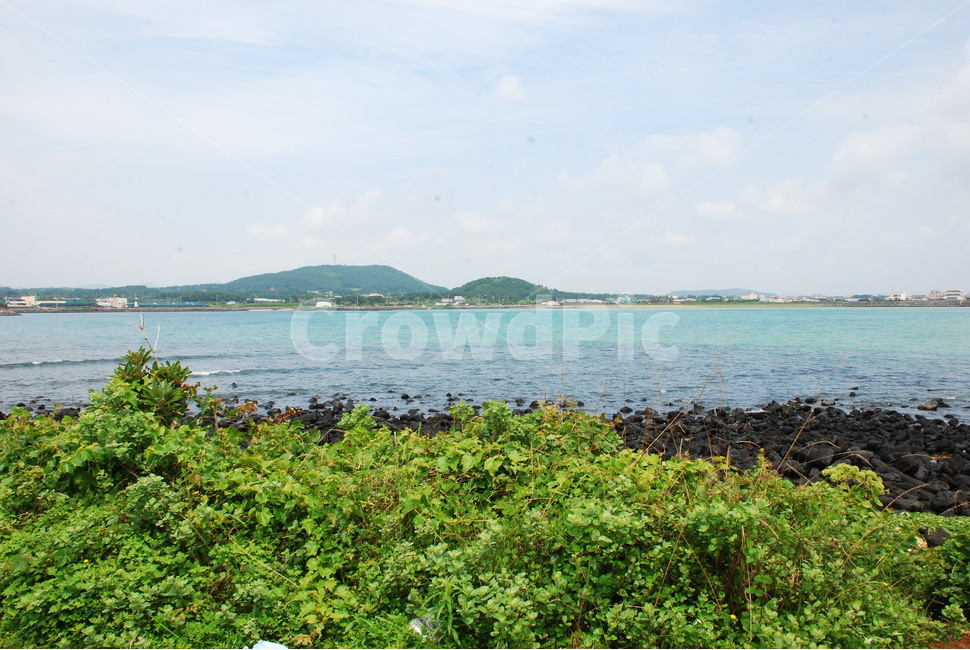 제주도,풍경,제주바다,바다,sea,푸르름,하늘,jejuisland,푸른바다,싱그러움,여름바다,날씨,구름,cloudy,자연,풍경,nature,landscape,land,땅,outdoors,옥외,water,물,ocean,대양,shoreline,해안선,vegetation,초목,plant,식물