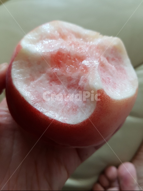 아삭한복숭아,복숭아,맛있는복숭아,신선복숭아,속살이쁜복숭아,음식,식재료,요리,food,cook,meal,dishes,food reserves,과일,열매,fruit