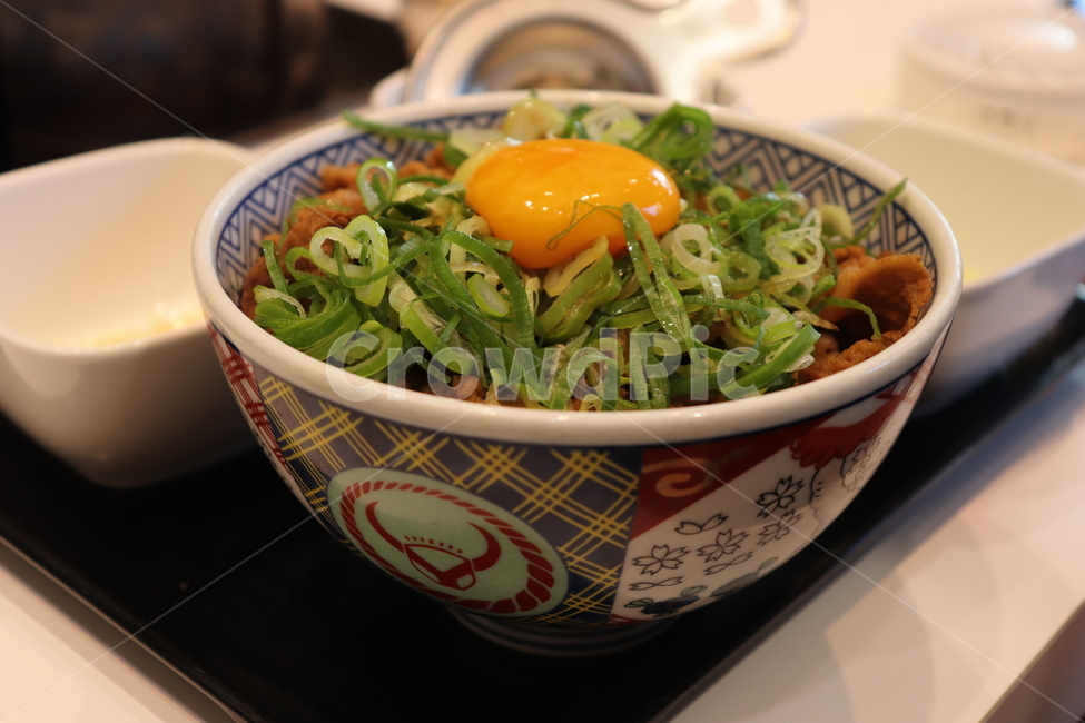 규동,일본,덮밥,고기덮밥,한그릇,일본음식,food,음식,식재료,요리,food,cook,meal,dishes,food reserves,일식,일본음식,일본요리,Japanese food,Japanese dishes,Japanese meal,Japanese cook