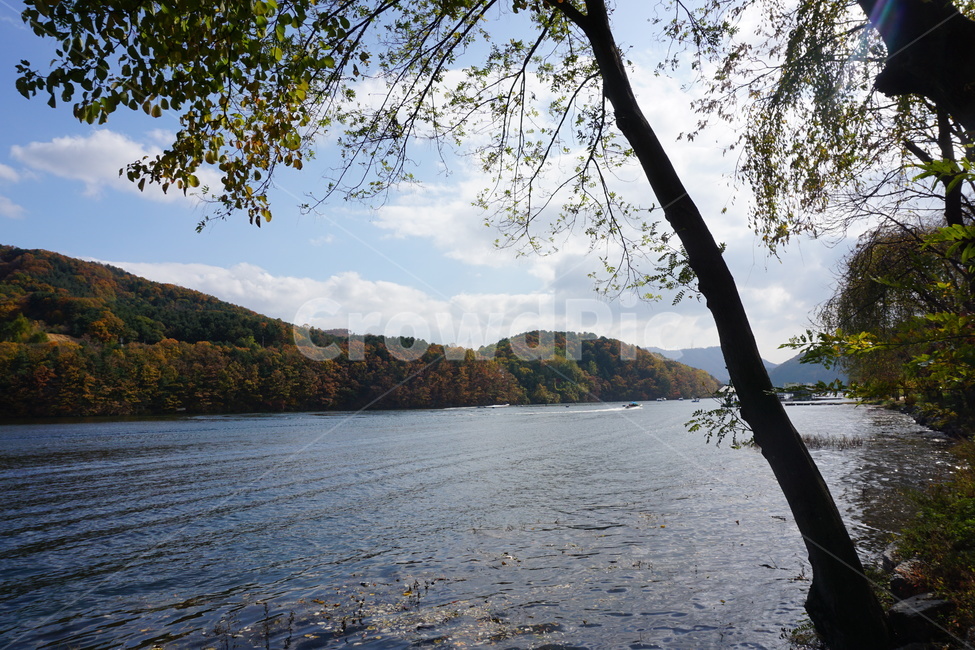 water,물,nature,자연,outdoors,tree,땅,land,호수,lake,옥외,나무,plant,식물,자연,풍경,nature,landscape