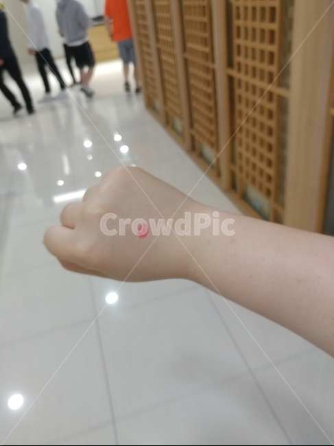 손,투표인증,투표,인증,도장,사람,인물,인간,human,person,신체일부,몸,body