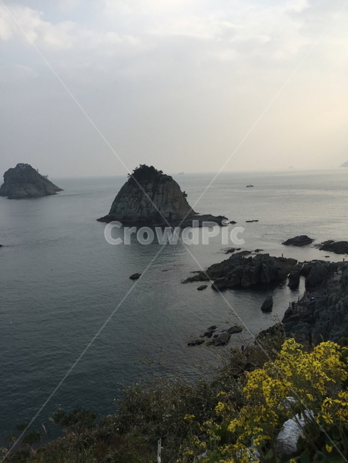 부산,바위,해변,바닷가,풍경,자연,풍경,nature,landscape,한국자연풍경,한국자연경관,korea nature landscape,outdoors,옥외,land,땅,water,물,shoreline,해안선,sea,바다,ocean,대양,coast,연안