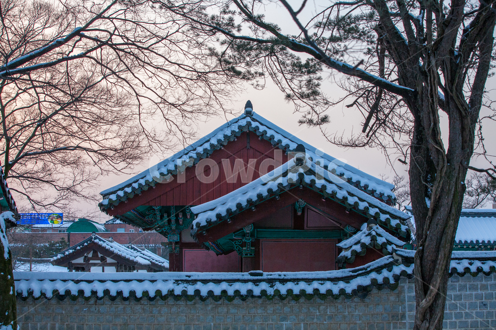 자연,설경,고전,겨울,추위,나무,겨울나무,겨울풍경,눈,처마,기와,한옥,폭설,전통,roof,지붕,architecture,건축물,신전,temple,예배,worship,building,건물,shrine,신사,탑,pagoda,겨울,계절,winter,season,한국전통,한국문화,korean traditional,korean culture
