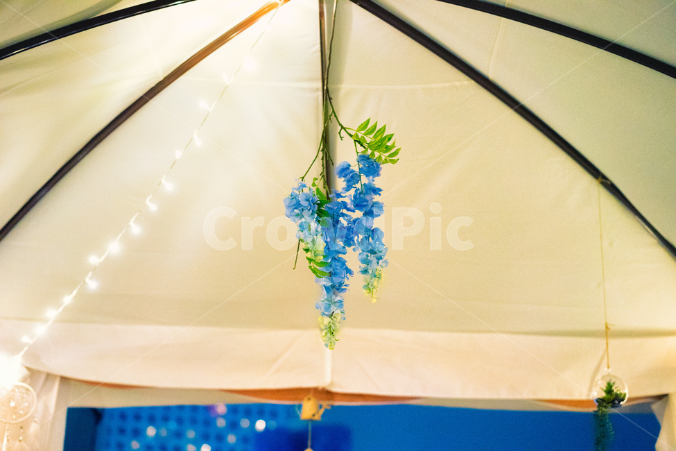식물,꽃,장식물,장식,모형,식물,자연,plants,nature,꽃,flower,실내용화초,화분,화초,house plant,감성,sensible,feeling,색깔,색상,색채,색감,color sense,color sensitivity,feeling of color,인테리어,실내디자인,interior design