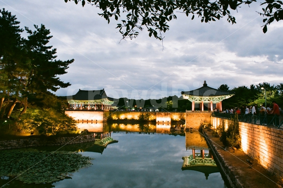 안압지,경주안압지,동궁과월지,경주동궁과월지,안압지야경,야경,반영,필름사진,랜드마크,landmark,tourist attraction,한국전통,한국문화,korean traditional,korean culture,감성,sensible,feeling