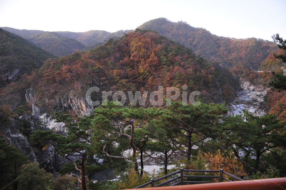 불영사,불영사계곡,가을,단풍,자연,nature,mountain,산,가을불영사,가을불영사계곡