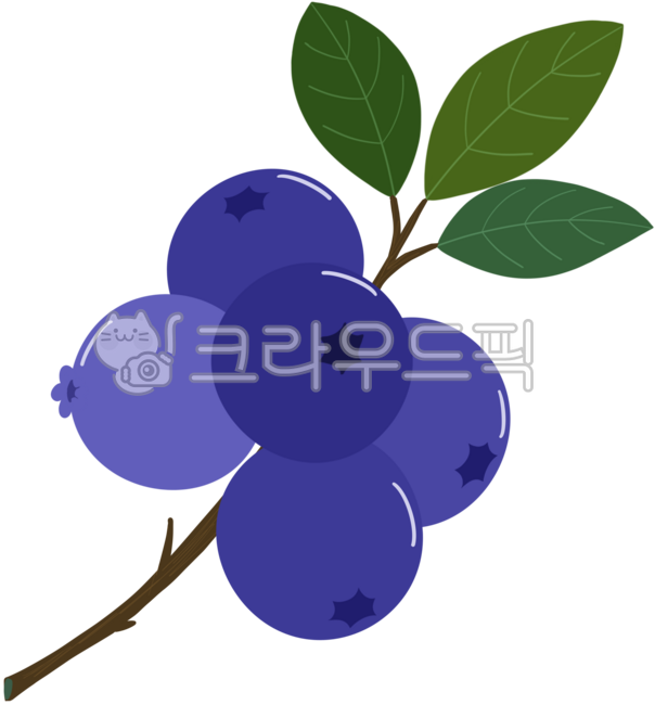 Blueberry,fruit,fruit character,health,ingredients,blueberry,health ingredients,superfood,food,blueberry eggplant,eggplant blueberry