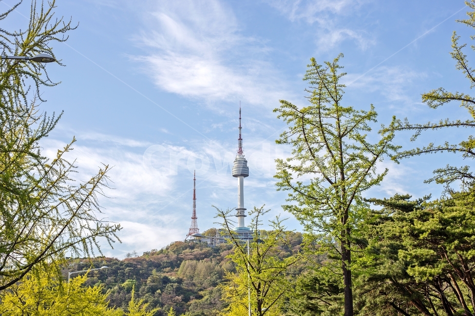 서울,남산,남산타워,나무,자연,풍경,하늘,도시,landscape,nature,tower,city,seoul,scenery,sky,랜드마크,landmark,tourist attraction,한국랜드마크,한국관광지,한국명소,korea landmark,korea tourist attraction