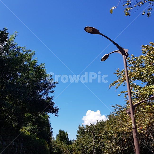 나무,가로등,하늘,구름,오전,낮하늘,맑음,따스한,나뭇잎,sky,streetlight,morning,파란하늘