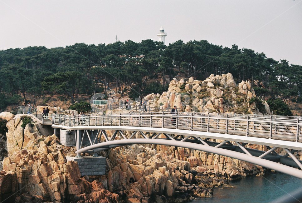 바다,해변,다리,절벽,브릿지,자연,풍경,nature,landscape,한국자연풍경,한국자연경관,korea nature landscape,architecture,건축물,building,건물,arched,아치형,arch bridge,아치교,arch,아치,bridge
