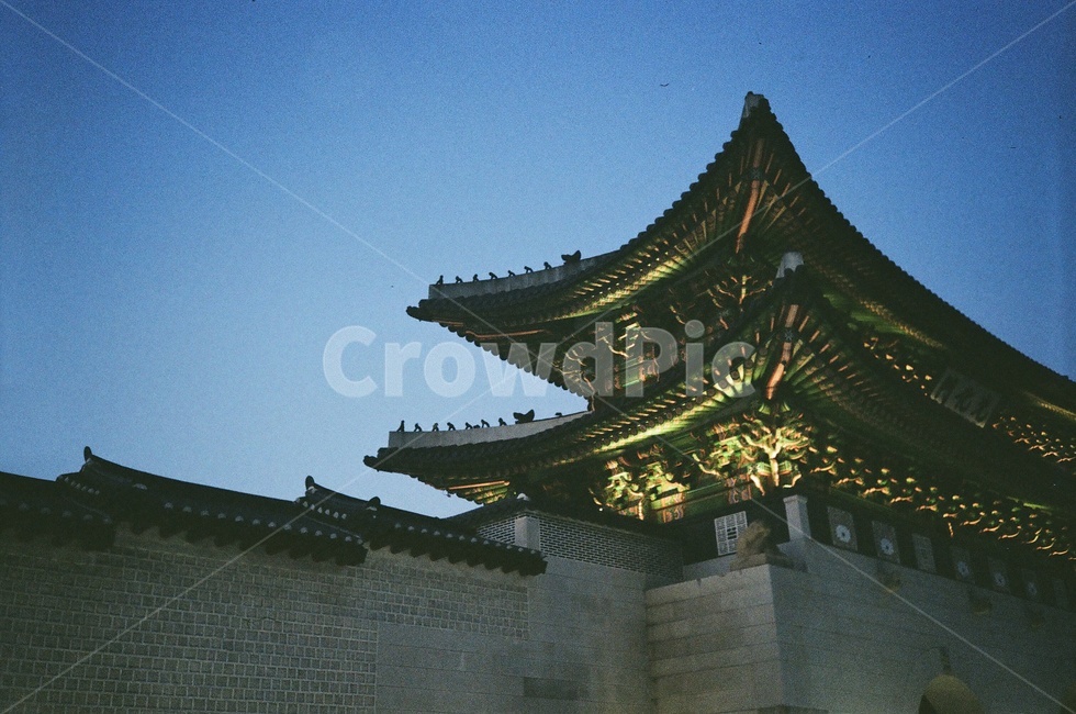 광화문,야경,필름카메라,경복궁,풍경
