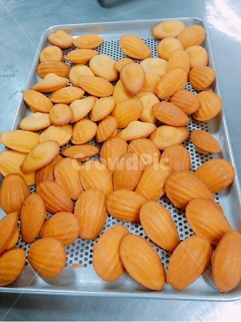 마들렌,madeleine,빵,bread,디저트,디저트,간식,후식,dessert,snack