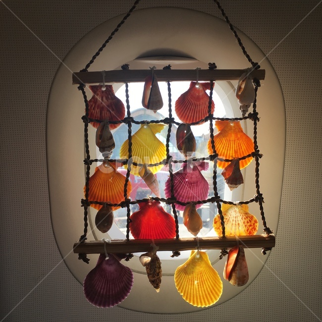 조개,비행기,창문,여름,여행,알록달록,가리비,소라,조개껍질,분위기