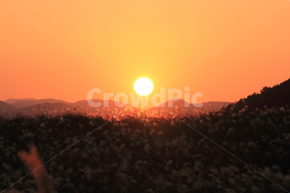 억세,아끈다랑쉬,노을,일몰,오름,빛,가을,제주,억세꽃,풍경,제주풍경,jeju,landscape,노을빛,제주오름,가을,계절,fall,autumn,season,자연,풍경,nature,landscape,outdoors,옥외,sunlight,햇빛,sky,하늘,dusk,황혼,sunset,dawn,새벽,red sky,붉은 하늘