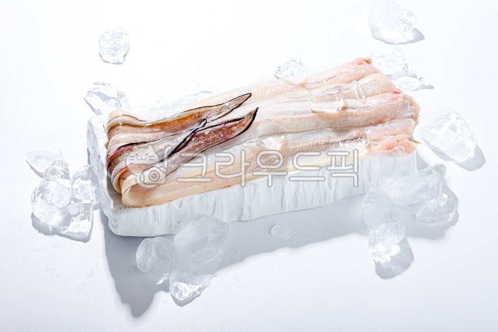 장어,그릇,원물,바다장어,민물장어,신선,수산물