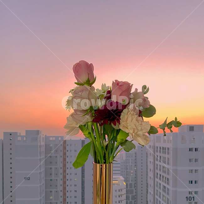 꽃,flower,꽃꽂이,노을,하늘,식물,plant,flowerarrangement