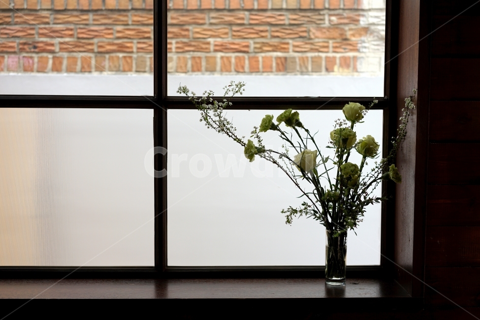 창가,장미꽃,흰장미,창문,꽃병,화병,식물,자연,plants,nature,꽃,flower,실내용화초,화분,화초,house plant,인테리어,실내디자인,interior design