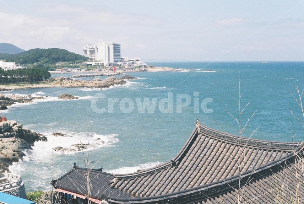 roof,지붕,temple,wave,sea