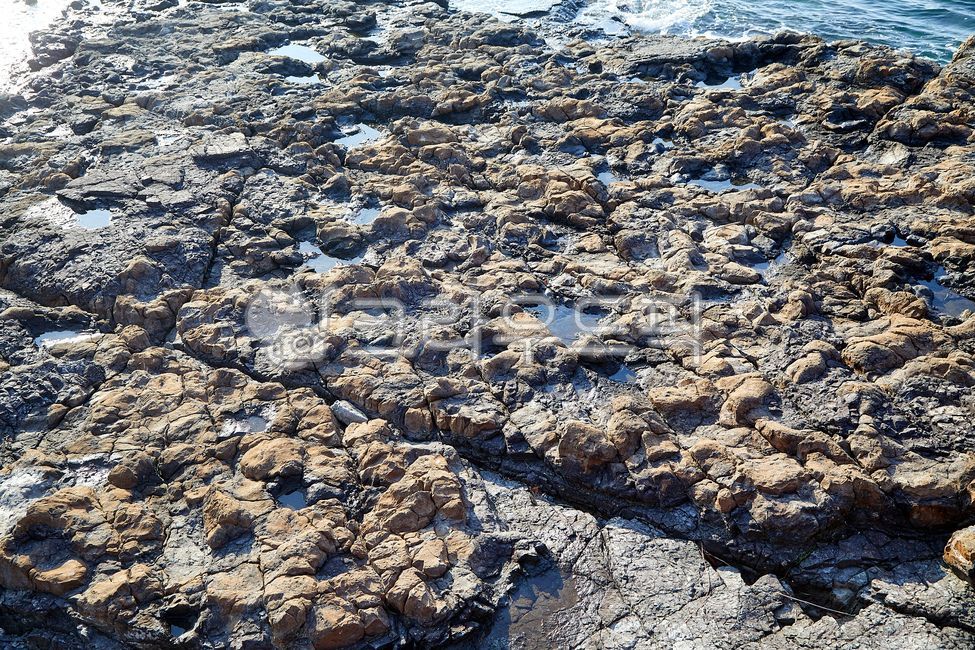 바위,바다,상족암,상족암군립공원,공란구조,층암단애,암반,기암,절벽,단층,실외,풍경,자연,고성군,경남,한국,군립공원,공원,관광지,남해,남해안,sea,sangjokam,sangjokamcountypark,gongranstructure,layeredrock,rock,giam,cliff,fault,outdoor,landscape,nature,goseonggun,gyeongnam,korea,militarypark,park,touristsite,namhae,southsea