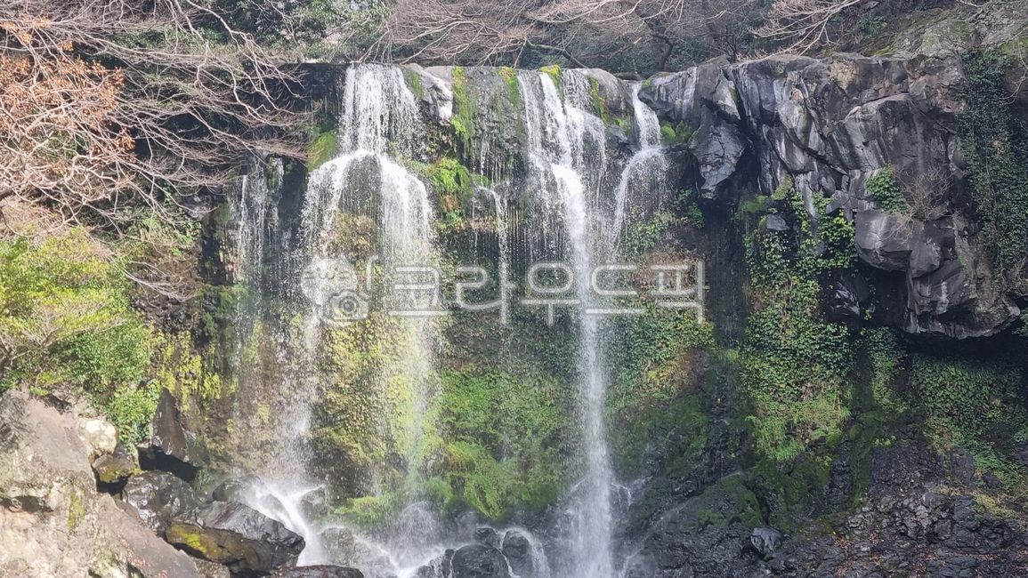 Jeju Island,Cheonjeyeon,waterfall,Seogwipo,nature,outdoors,water,water