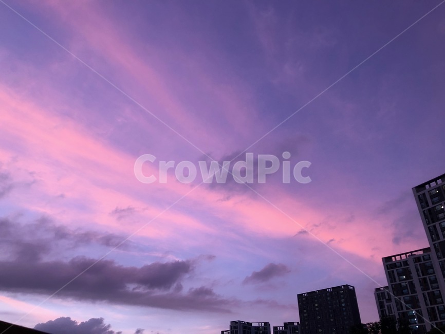 자연,하늘,보라색,컬러테라피,purple