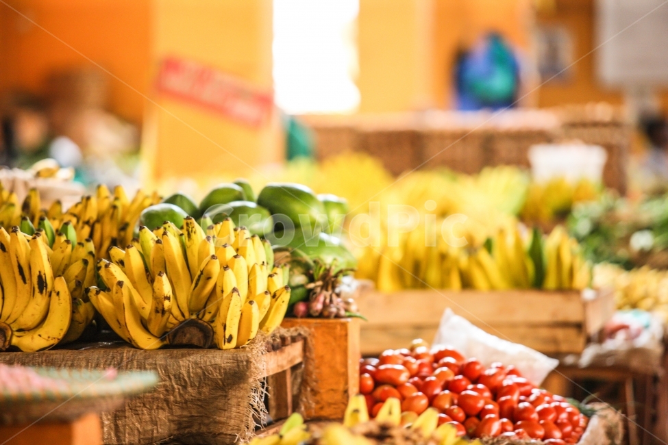 바나나,아프리카,우간다,시장,풍경,시장,마트,마켓,market,mart,market place,음식,식재료,요리,food,cook,meal,dishes,food reserves,과일,열매,fruit