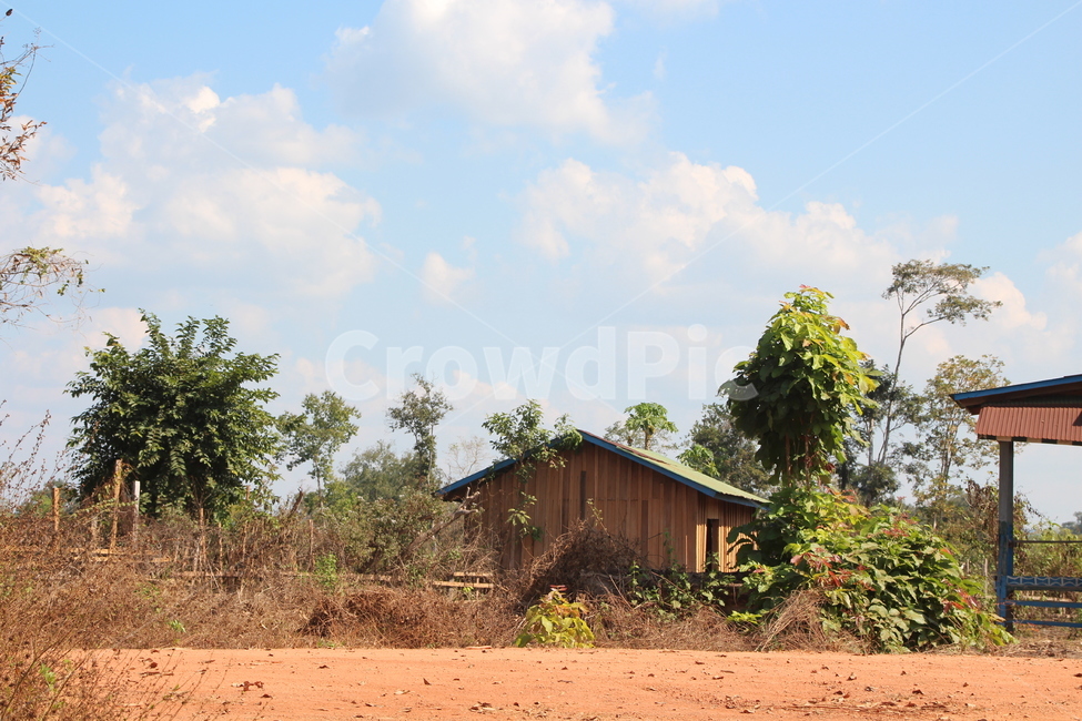 outdoors,옥외,nature,자연,building,건물,cambodia