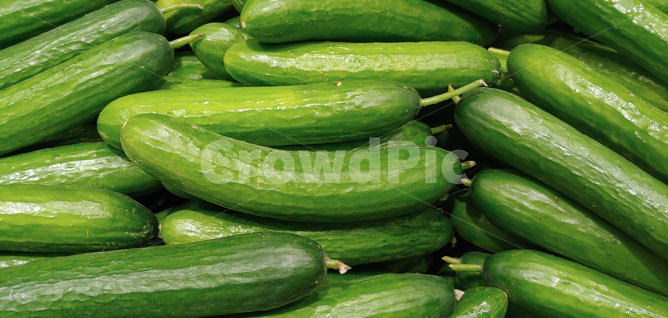 cucumber,오이,vegetable,녹색,green,음식,식재료,요리,food,cook,meal,dishes,food reserves,채소,야채,vegetables