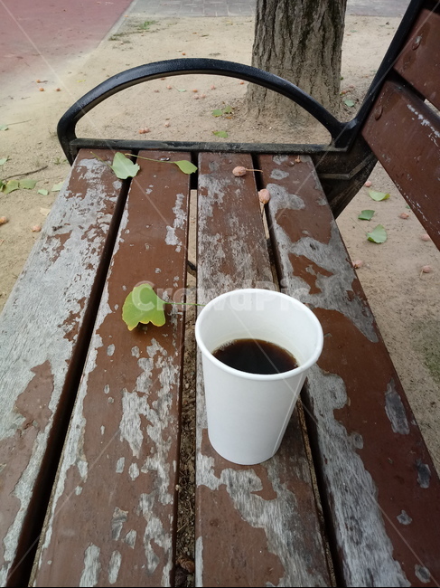 커피,의자,낙엽,가을,벤치,감성,커피,카페,coffee,cafe