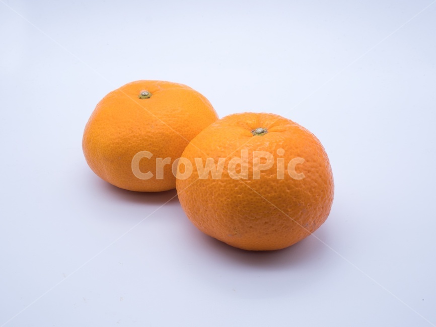 food,음식,citrusfruit,감귤류과일,fruit,orange,주황색,plant,식물,귤,오렌지,과일,겨울,열매,과일,열매,fruit