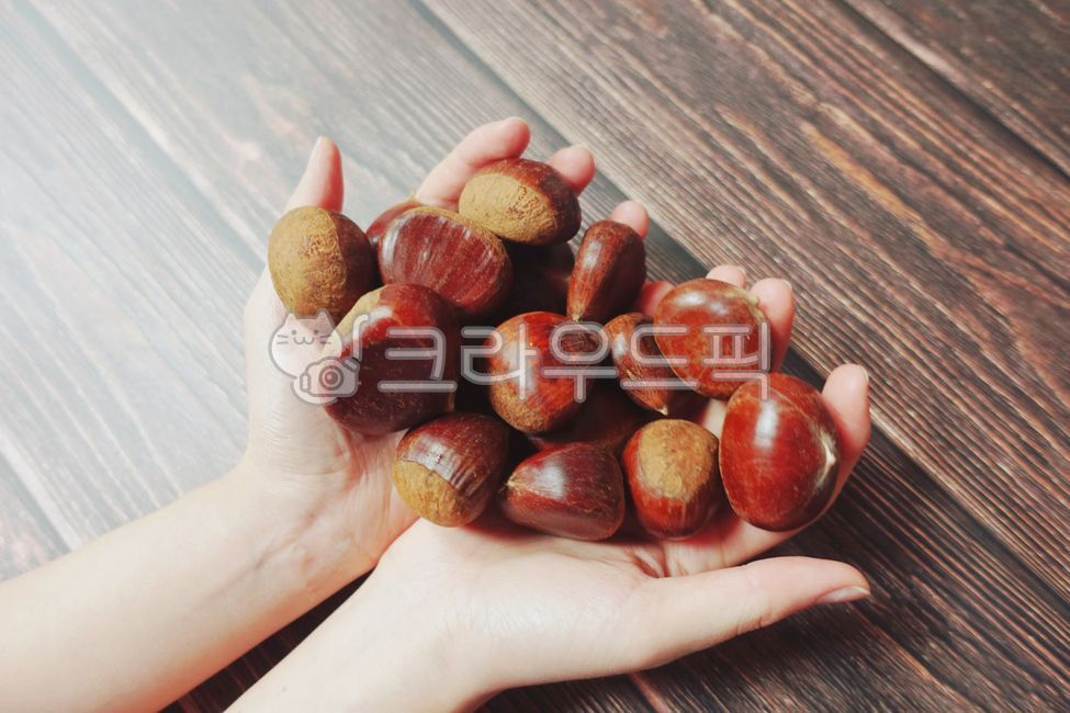 겨울음식, 공주알밤, 공주밤, chestnut, 알밤, 사진,이미지,일러스트,캘리그라피 - 한량지아이작가