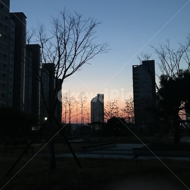 야경,밤벚꽃,벚꽃야경,저녁노을,노을