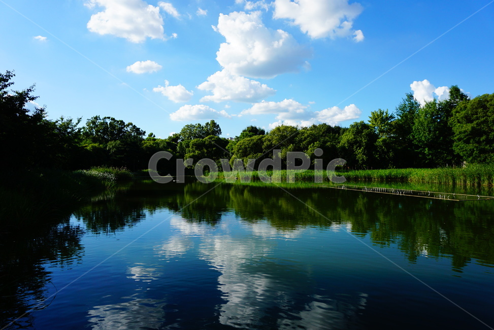 날씨,맑음,하늘,호수,숲,구름,파랑,blue,sky,lake,sunny,자연,풍경,nature,landscape,water,물,outdoors,옥외