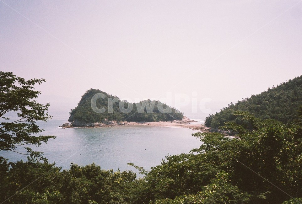필름,필름사진,film,바다,sea,자연,nature,섬,island,나무,자연,풍경,nature,landscape