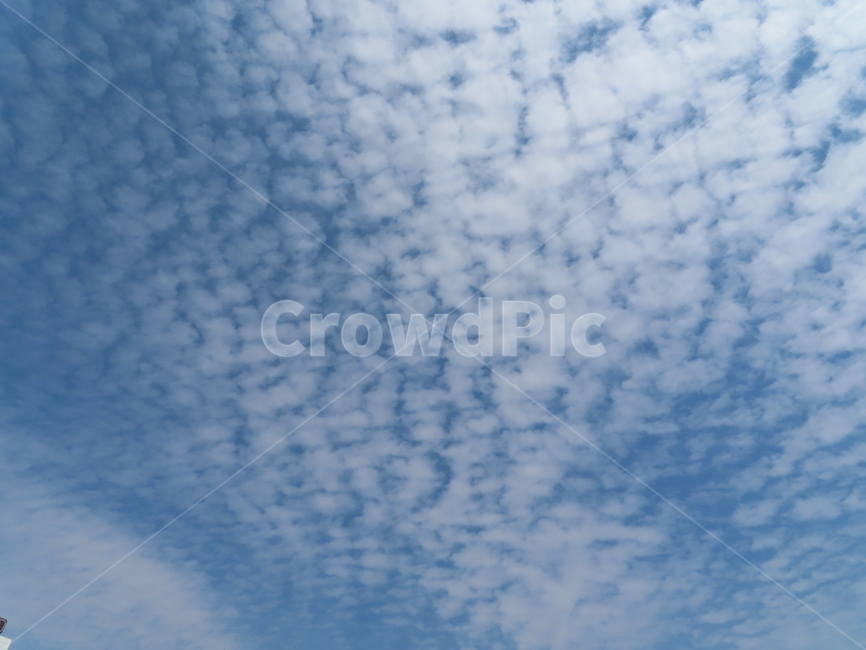 구름,하늘,자연,흰색,파랑색,아름다움,풍경,cloud,sky,white,blue,beauty,nature,scenery