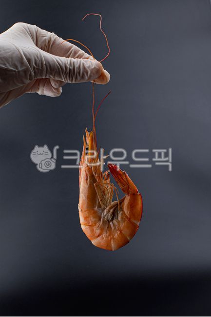 새우,대하,새우구이,소금구이,흰다리새우,해산물,수산물,음식,해물