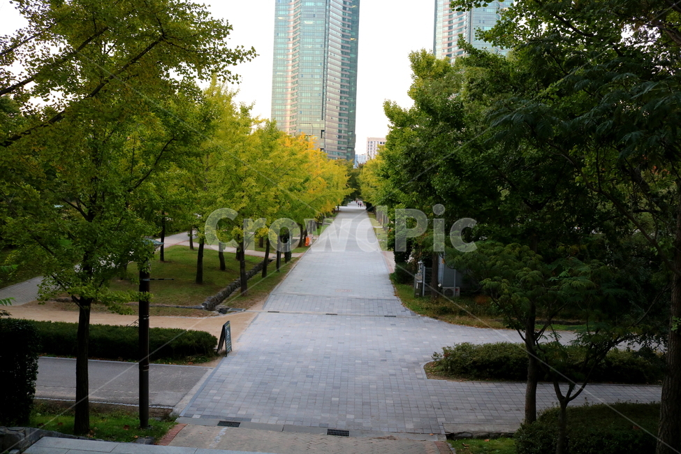 나무,자연,풍경,공원,서울숲,산책길,도시,풍경,city,landscape,한국도시풍경,한국도시경관,korea cityscape,path,통로,building,건물,town,시티,urban,어반