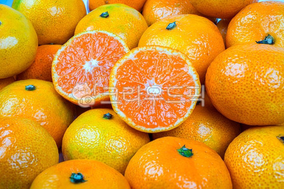 귤,밀감,제주도,제주감귤,과일,감귤류과일,citrusfruit,fruit,grapefruit,orange,food,음식,비타민,건강