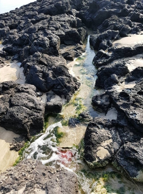 바다,모래,돌,이끼,감성,자연,풍경,nature,landscape,rock,록