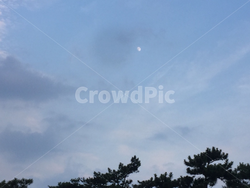 하늘,구름,달,숲,나무,분위기,자연,풍경,nature,landscape,outdoors,옥외