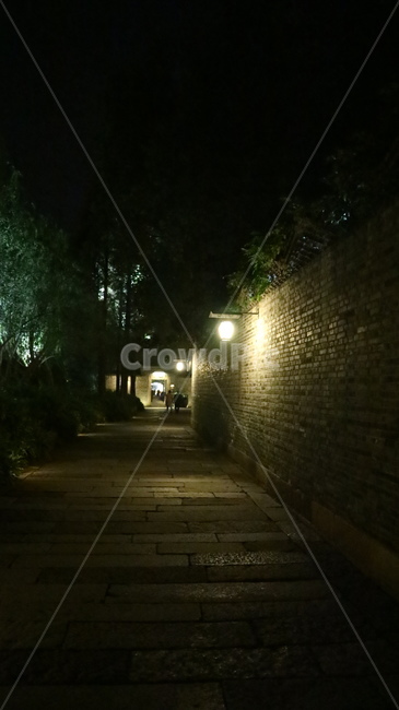 야경,nightview,우전,길,path,야경,밤,풍경,nightscape,night,landscape,walkway,보도,통로,sidewalk,pavement,포장,street,거리,city,시티,urban,어반,building,건물,town,도시,road,도로