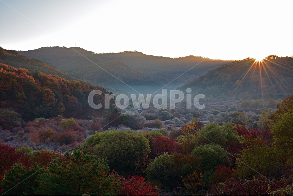 비밀정원,시크릿가든,인제비밀정원,인제시크릿가든,인제명소,아침풍경,자연,풍경,nature,landscape,한국자연풍경,한국자연경관,korea nature landscape,outdoors,옥외