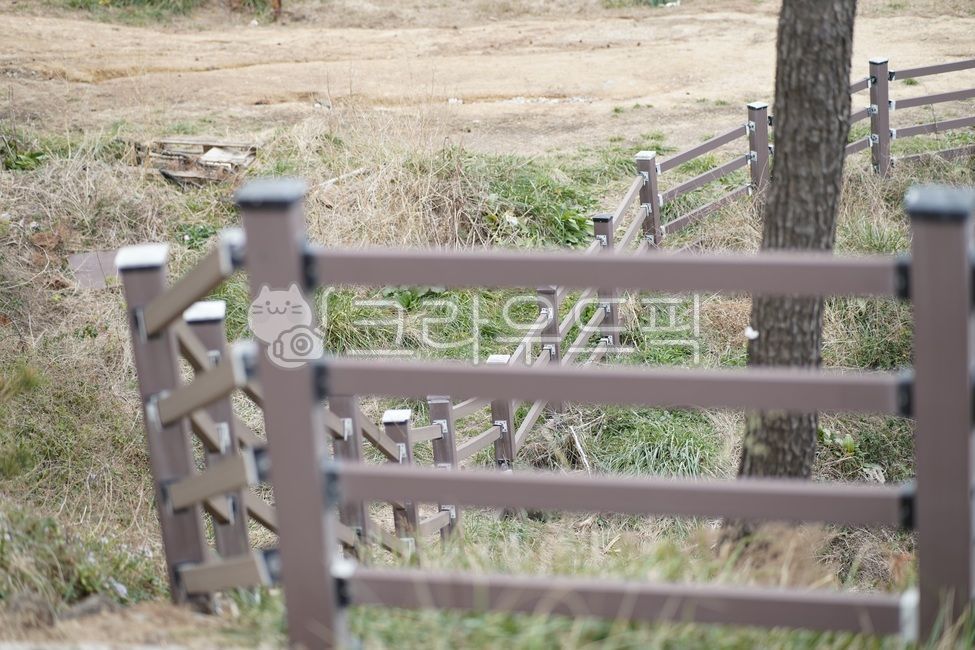 겨울,바다,해안길,난간,나무